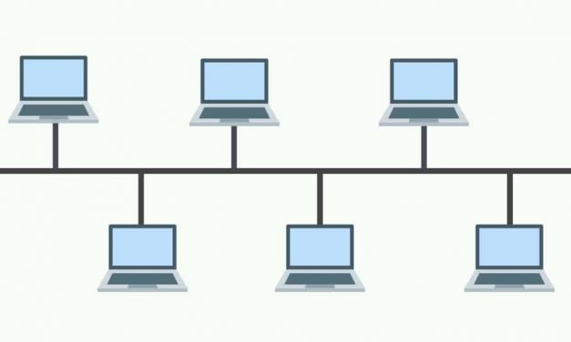 What Is Bus Topology?