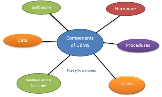 Components of Database Management System (DBMS)