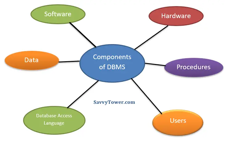 Components of Database Management System (DBMS)
