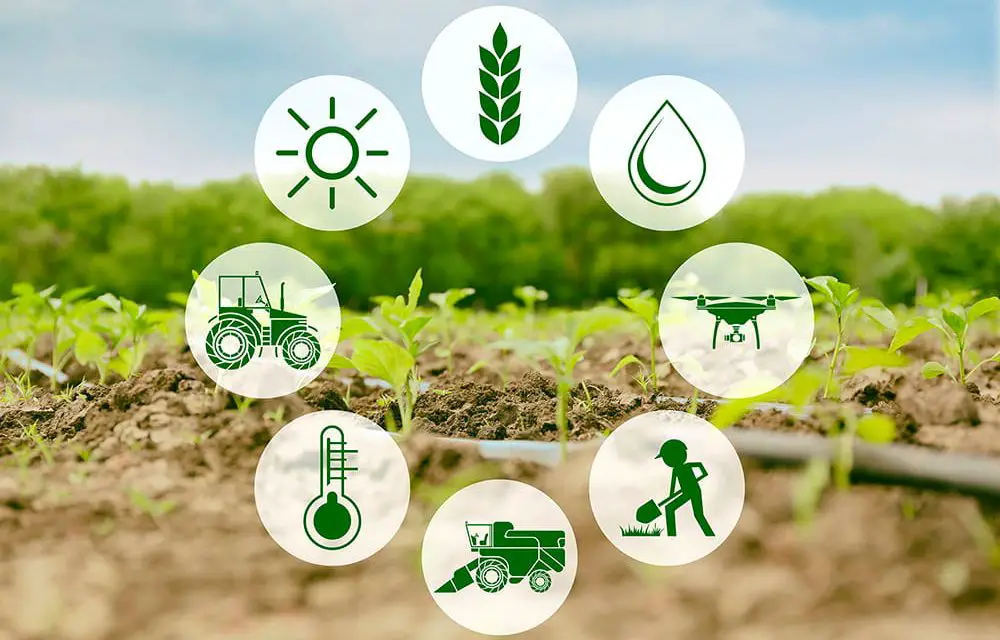 IoT Agriculture Sensors