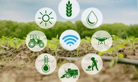 Smart Farming IoT