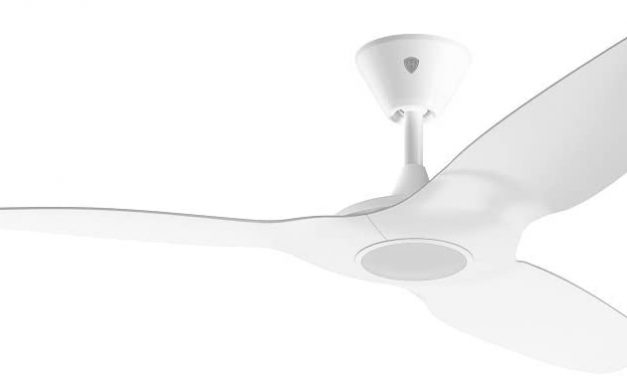 Top 10 Best Smart Ceiling Fans