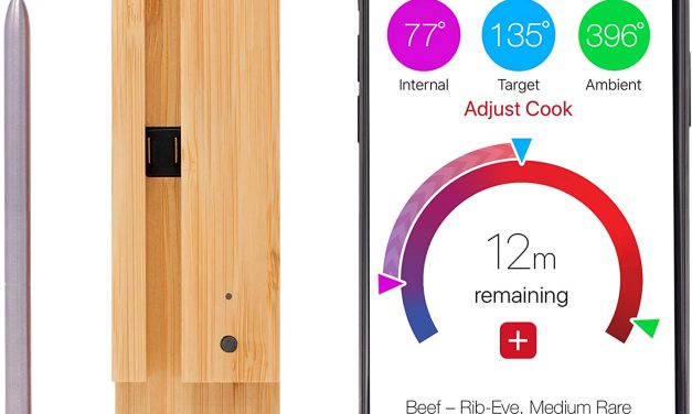 Top 10 Best Wireless Meat Thermometers